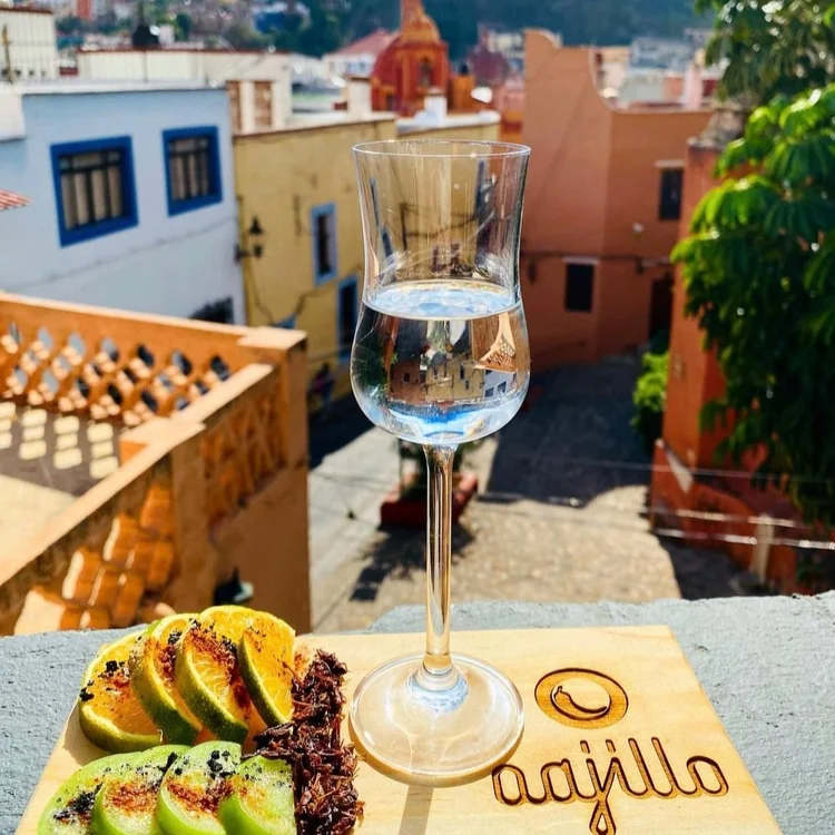 Oajillo - 5